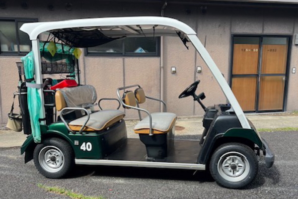 YAMAHA（ヤマハ）5人乗バッテリー電磁誘導式