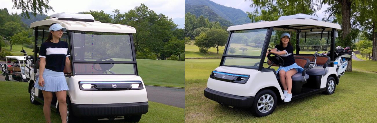 新型電動カートLIBCARTリブカート（5人乗り） 電磁誘導式