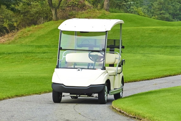 新型電動ゴルフカート LIBCART（5人乗り） 電磁誘導式